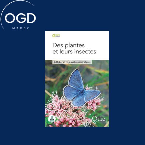 DES PLANTES ET LEURS INSECTES