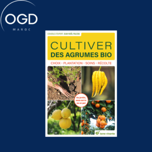 CULTIVER DES AGRUMES BIO - CHOIX - PLANTATION - SOINS - RECOLTE