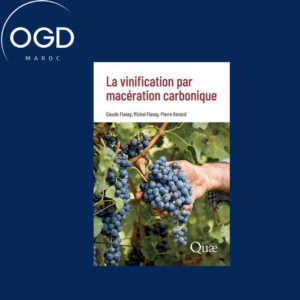 LA VINIFICATION PAR MACERATION CARBONIQUE