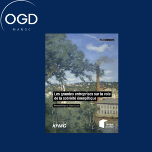 LES GRANDES ENTREPRISES SUR LA VOIE DE LA SOBRIETE ENERGETIQUE