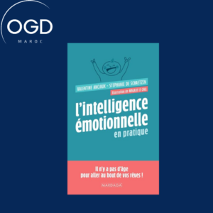 L'INTELLIGENCE EMOTIONNELLE EN PRATIQUE - IL N'Y A PAS D'AGE POUR ALLER AU BOUT DE VOS REVES !