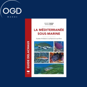 MEDITERRANEE SOUS-MARINE - GUIDE DE LA FAUNE ET DE LA FLORE